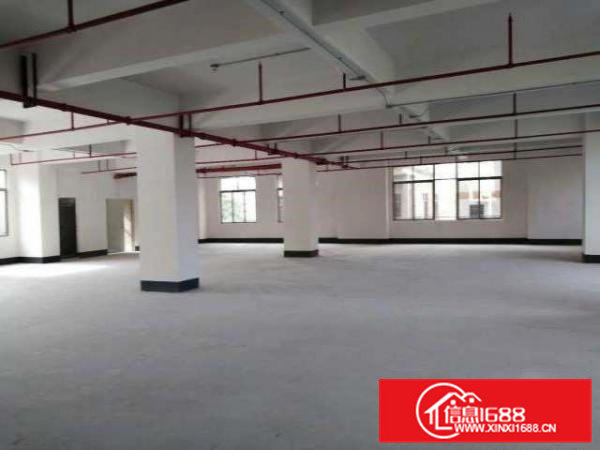 本人厂房大朗求富路独院2500平方厂房无公摊价格低