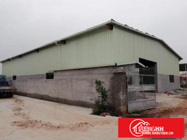 全新钢架厂房，独门独院，环境山清水秀，