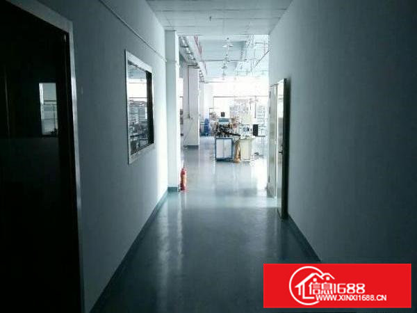 桥头镇新出独院厂房3800平方