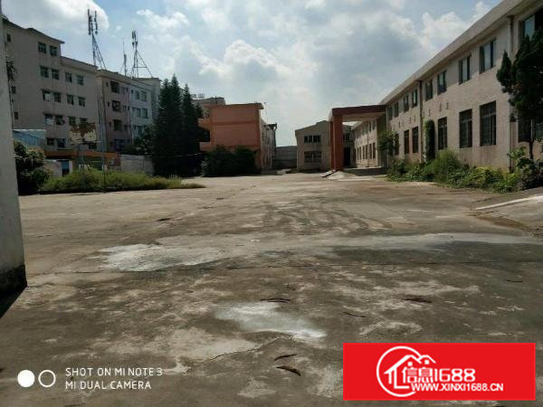 横沥新出原房东独院厂房厂房5000平米