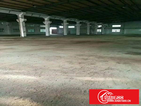 凤岗镇超靓钢构独院厂房14300平方米招租，可分租