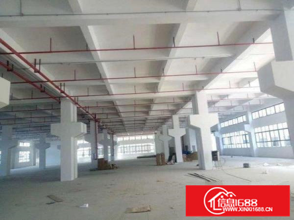 近东部快线旁全新独门独院厂房15200平米