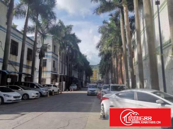 出租正规厂房光明区公明长圳