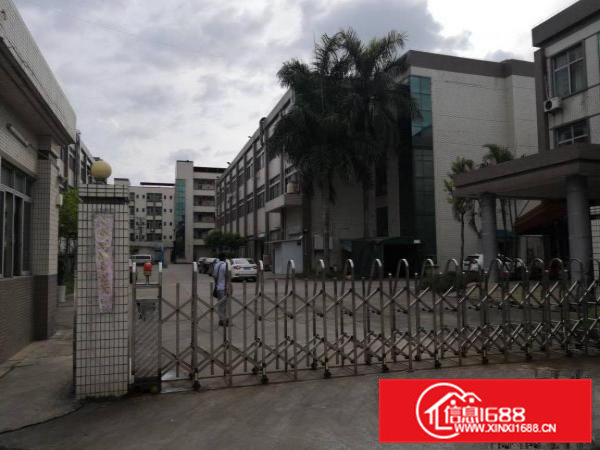 新出工业区九成新厂房一楼1800平方米招租