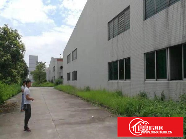 惠东白花独院钢构面积4万平，空地30000平(免费)证件齐全