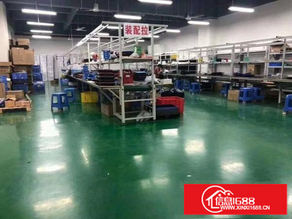 新出二楼1300平，有精装修厂房出租