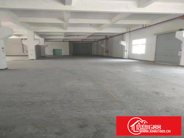 横沥镇山厦村四海新出一楼小面积300平方出租