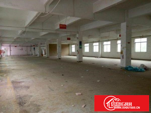 出租龙岗区龙东标准一楼厂房800平方米无公摊