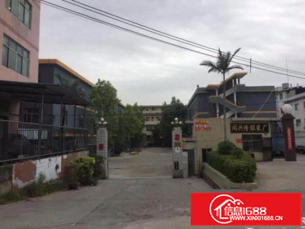 出租龙岗区坪地龙岗大道旁全面翻新独院厂房