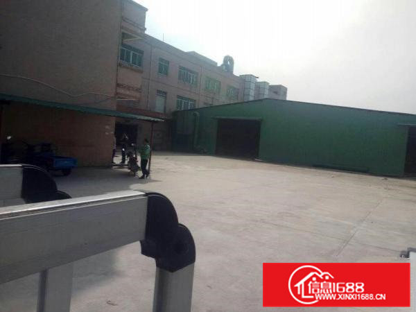 桥头镇独门独院带电梯空地大3300平方厂房