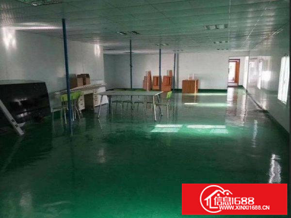 出租布吉长龙楼上500平方豪装办公室地坪漆吊顶