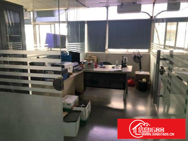 坪山精装修300平米，价格周边低，电商，贸易，小型生产首选