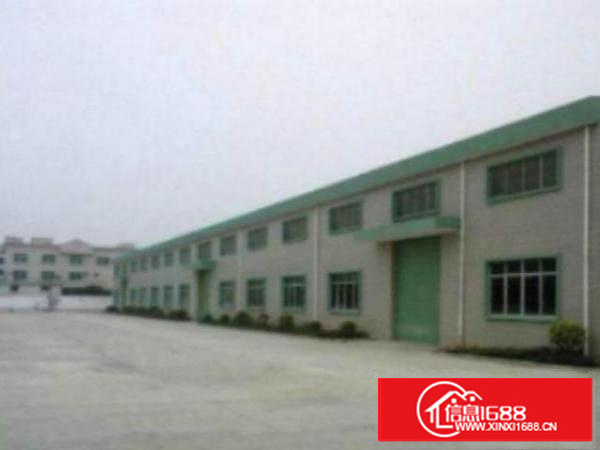 万江小享单一层钢构2500方厂房仓库出租形象好;漂亮;交通便