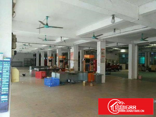 塘厦石鼓临近牛湖1楼1350平方全层地坂砖装修