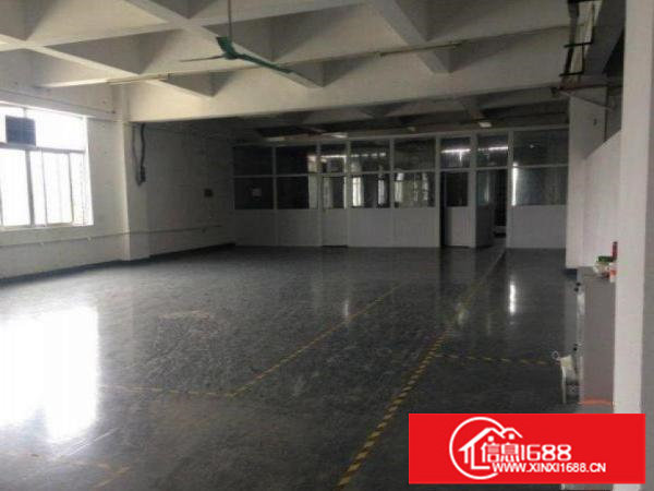 新出厂房原房东出租全新装修可直接入住