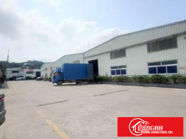 大朗独院超靓钢构5500平原房东厂房出租！可分租，滴水8米