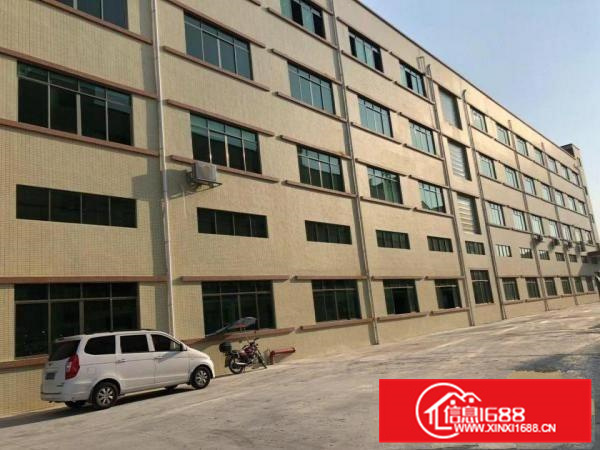 14500平方全新独院标准电梯厂房