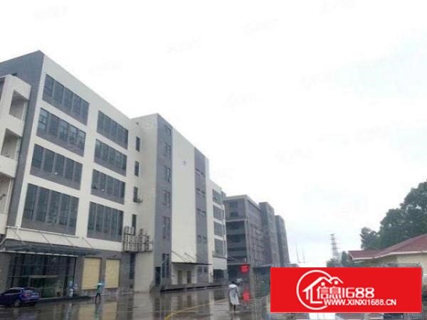 万江9成新园区标准1楼整层2200平方分租（另可分租）