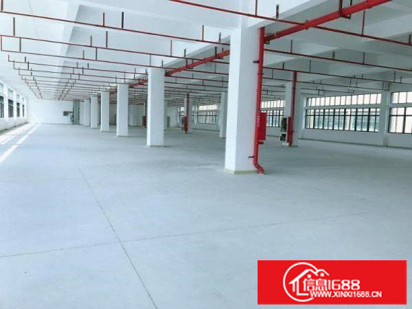 横岗简龙村新出1200平,带装修厂房出租