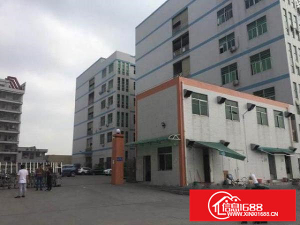 大岭山主干线楼上精装修厂房2200平米