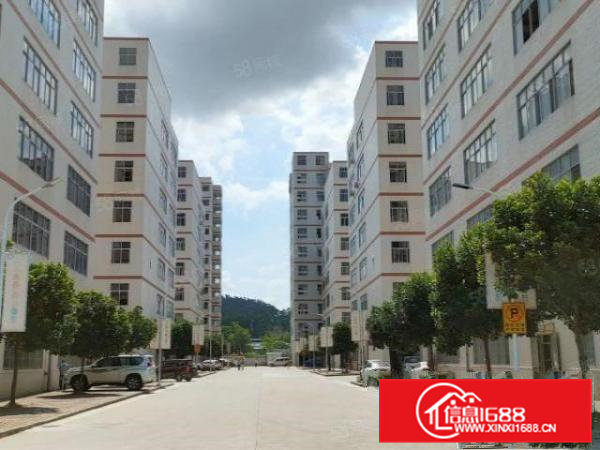 凤岗雁田南山工业区一楼1000平超大空地形象好厂房200起分