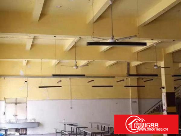 9元！虎门站旁马泽路，厂房出租可整可分