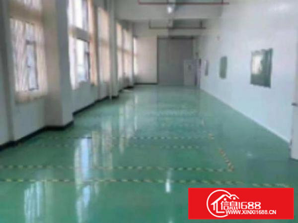 高埗标准厂房二楼1500平方厂房干净整洁采光通透，空地大