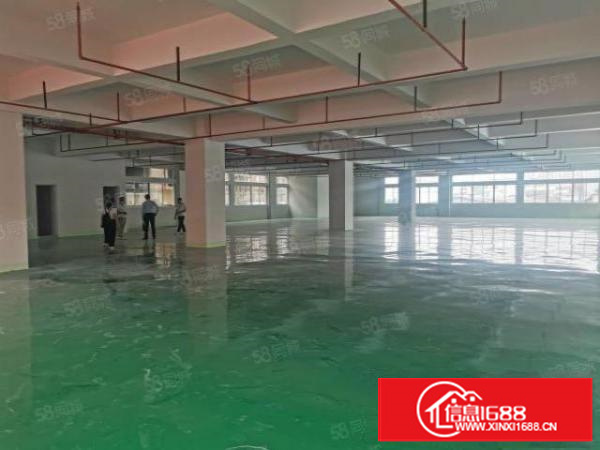 寮步上屯新出独院5600平厂房低价出租