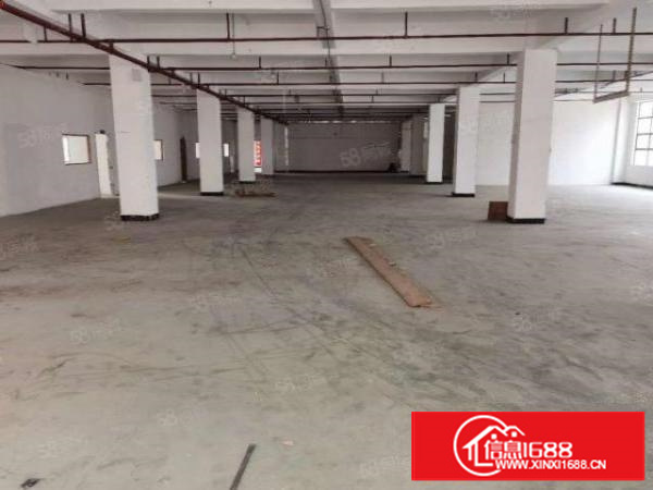 石排新出翻新厂房2000,自带卸货平台,适合各种行业