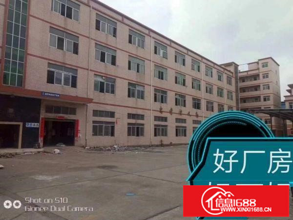 龙岗创新产业园厂房仓库宿舍招租可分租