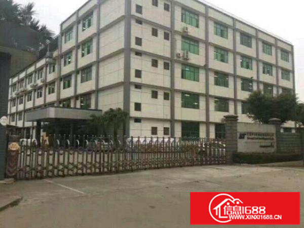 坂田仓库，电商，房厂，物流仓库400平米大小都有