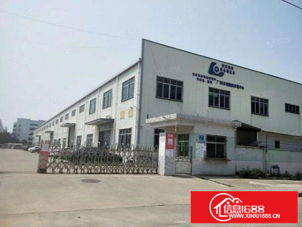 村头工业区单一层钢构1000平方出租（实际面积无公摊）