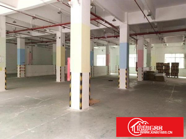 坂田高速路口新出一楼2000平出租可分带卸货平台空地大