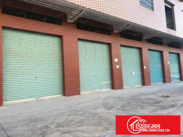 横沥镇原房东标准厂房一楼240平