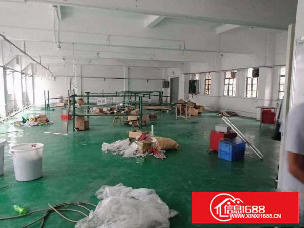 白菜租价！塘厦沙湖村500平方米免装修独院2楼厂房！