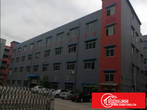 布龙路边上1300平方厂房实际面积无公摊带精装修