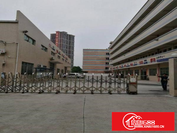 常平桥沥新出一楼重型工业厂房2300平米带装修招租