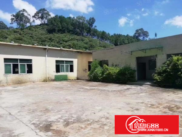 塘厦龙背岭钢构独院1400平，滴水6米微偏可噪音粉尘污染行