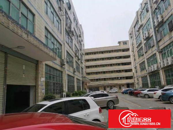 自有厂房出租光明白花洞2楼1500平带装修，无转让费可分租