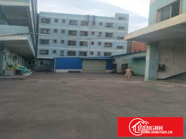 陈村原房东厂房1000平米，无公摊