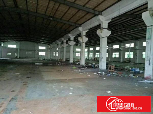 凤岗镇金凤凰工业区8米高钢构2250平方