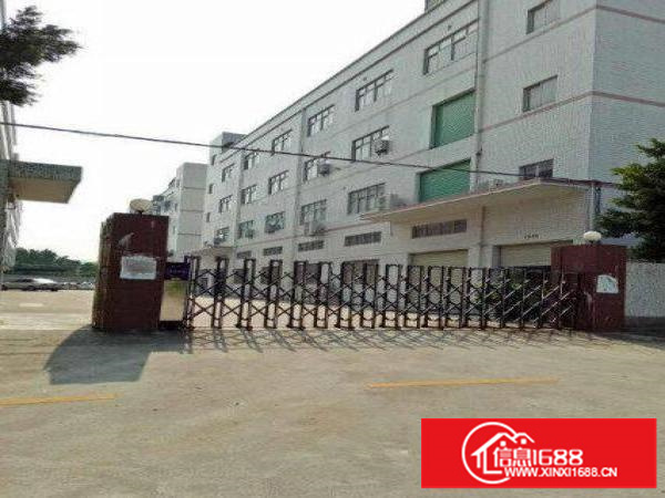 龙岗现成家私环评楼上1600平出租可分租