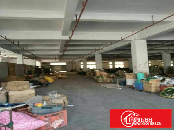 常平镇成熟工业区新出标准厂房一楼2000平方招租