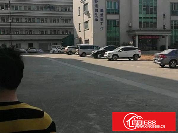 原房东独门独院标准厂房出租