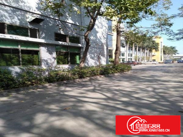 南栅15000平方仅租15元，带消防办公室适合注塑五金模具