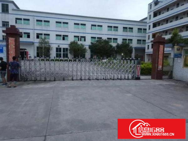 横岗荷坳工业区1800平米独栋厂房出租