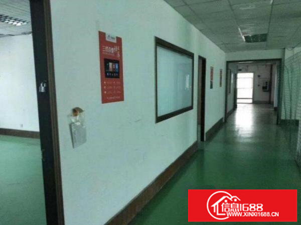 楼上高4.8m;四面采光。承重1000kg。厂房每栋两部3吨