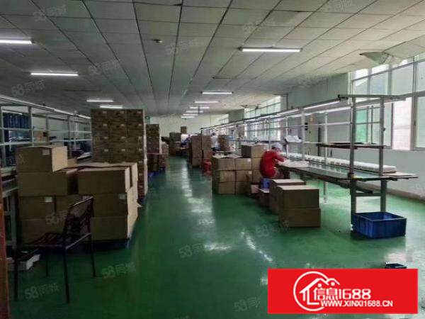 长安厦边新空楼上精装修厂房700平招租