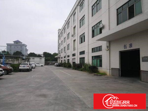 石排原房东一楼1300平方重工业标准厂房出租