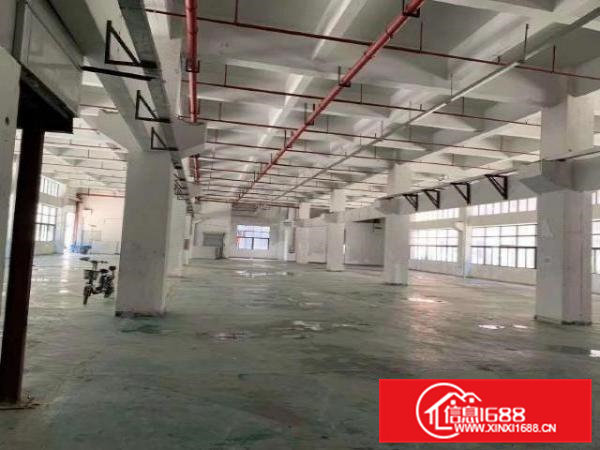 凤岗竹塘科技园重工业带牛角厂房出租标准一楼2600平方